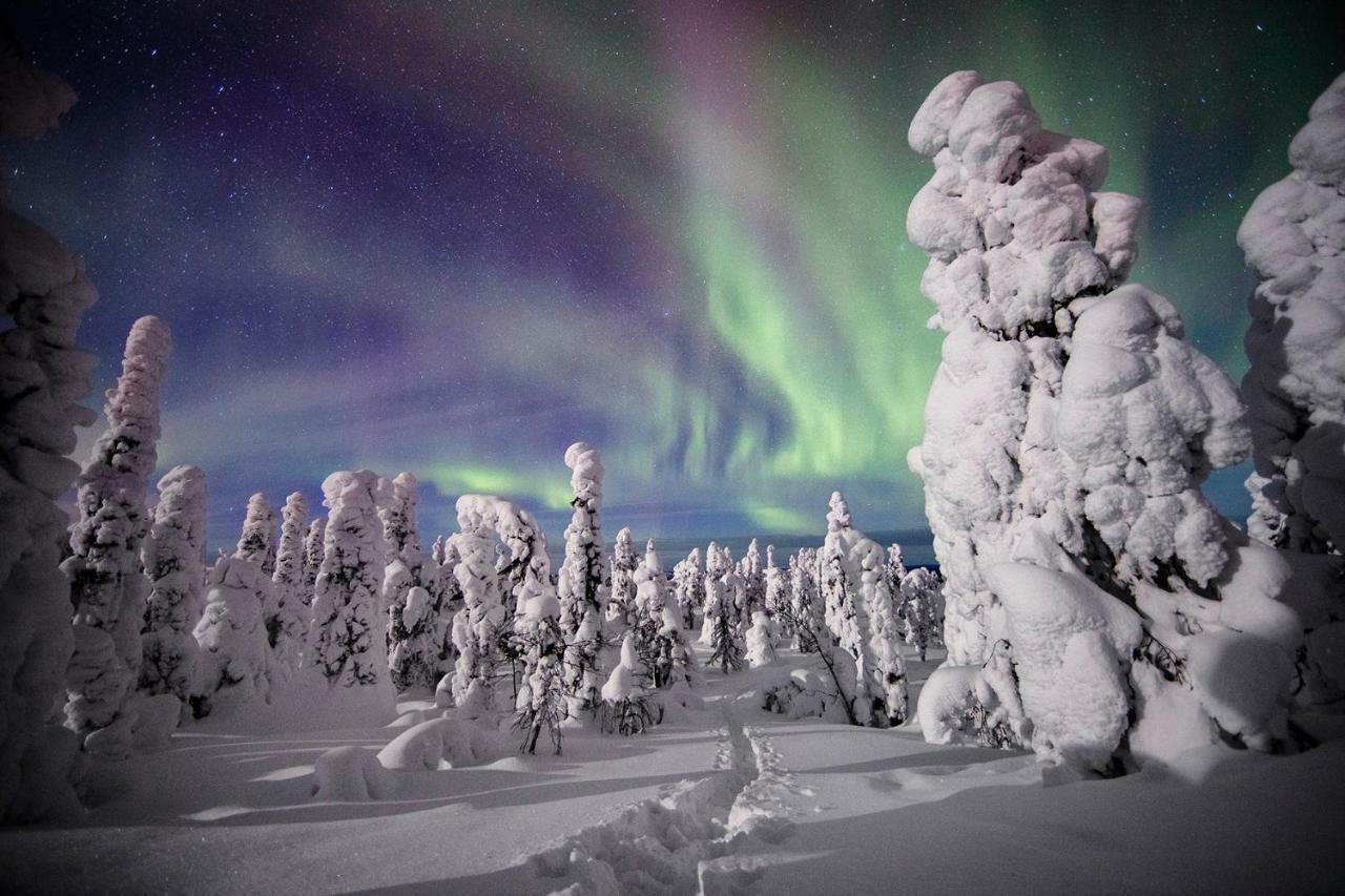 Villa Saarua By The Slopes Ski In, Family & Bike Park, Hike Trails, National Park, Wifi - Lapland Villas Ruka Exterior foto